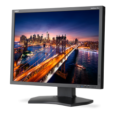 Монитор жидкокристаллический NEC Монитор LCD 21.3'' [4:3]
